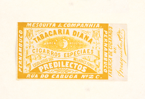 vizualizar o documento on line